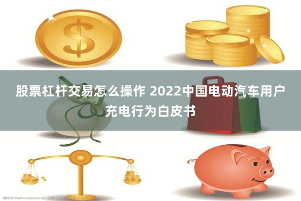 股票杠杆交易怎么操作 2022中国电动汽车用户充电行为白皮书