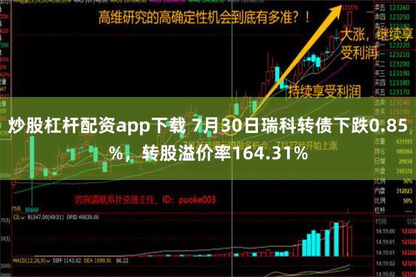 炒股杠杆配资app下载 7月30日瑞科转债下跌0.85%，转股溢价率164.31%