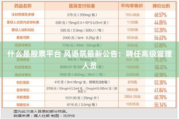 什么是股票平台 风语筑最新公告：聘任高级管理人员