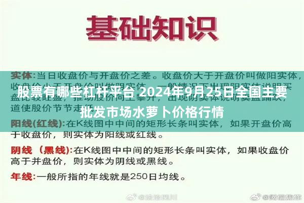 股票有哪些杠杆平台 2024年9月25日全国主要批发市场水萝卜价格行情