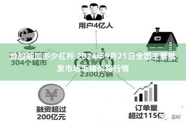 炒股能加多少杠杆 2024年9月25日全国主要批发市场毛猪价格行情