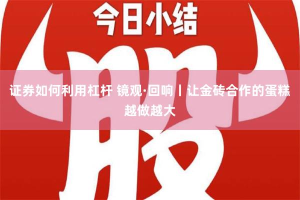 证券如何利用杠杆 镜观·回响丨让金砖合作的蛋糕越做越大