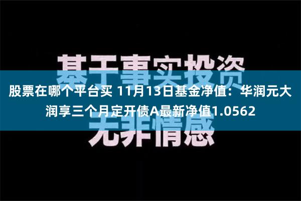 股票在哪个平台买 11月13日基金净值：华润元大润享三个月定开债A最新净值1.0562