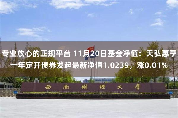 专业放心的正规平台 11月20日基金净值：天弘惠享一年定开债券发起最新净值1.0239，涨0.01%