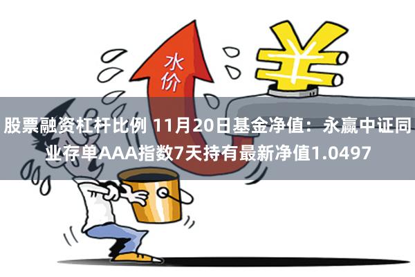 股票融资杠杆比例 11月20日基金净值：永赢中证同业存单AAA指数7天持有最新净值1.0497