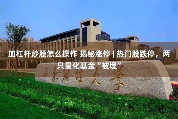 加杠杆炒股怎么操作 揭秘涨停 | 热门股跌停，两只量化基金“被埋”