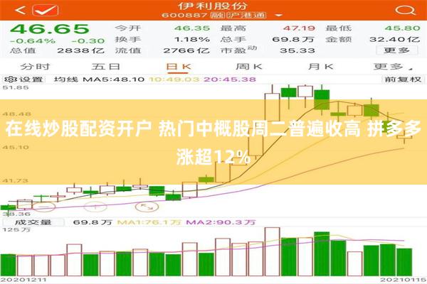 在线炒股配资开户 热门中概股周二普遍收高 拼多多涨超12%