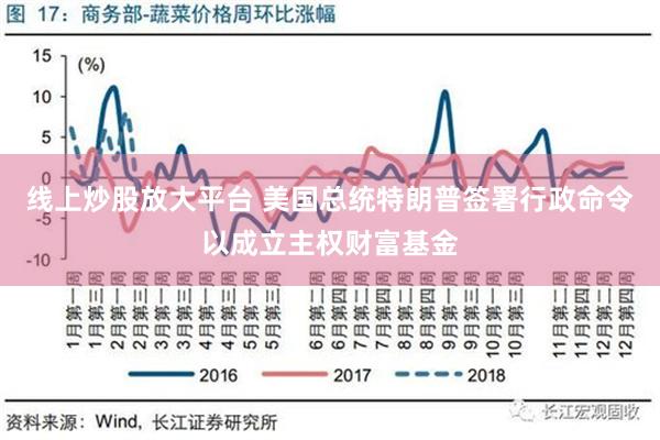 线上炒股放大平台 美国总统特朗普签署行政命令以成立主权财富基金